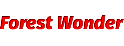 forest wonder banner